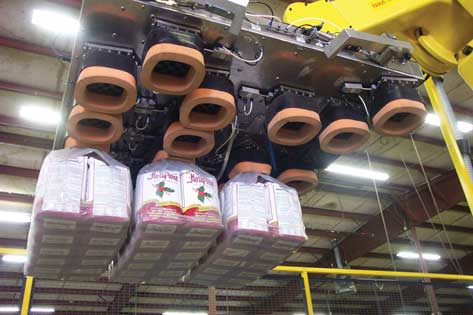 Espoma's new robotic palletizer handles the output of three packaging lines. The newest line is for plastic bundles (above) of