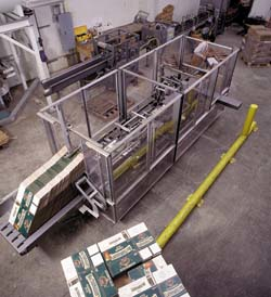 The case erector in the foreground and the basket-carrier erector beside it both feed into a third machine that stuffs carriers