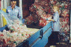 At Johnson Controls' recycling plant at Novi, MI, incoming PET bottles are debagged and fed into the company's process that prod