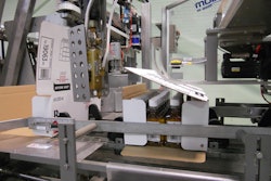 Servo-driven case packer