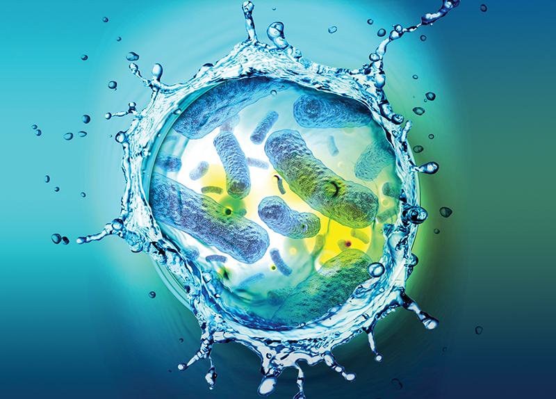 Automating Hygiene: What You Need to Know