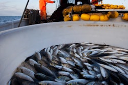 Pfw 1965 Istock Fishing Small 1