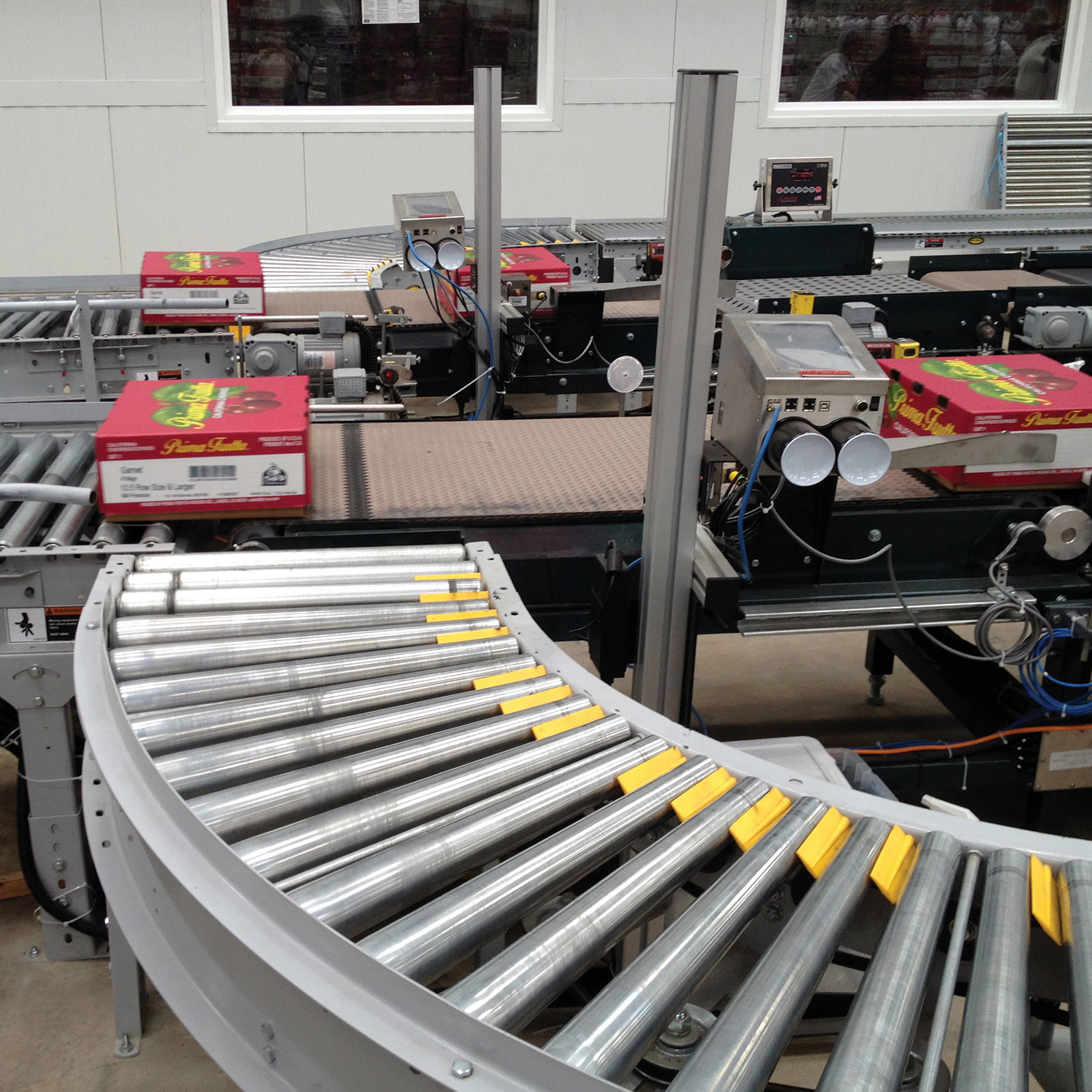 Pfw 2707 Prima Squid A 1