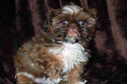 Pfw 3166 Screen Shot 2016 10 07 At 2 48 06 Pm 1