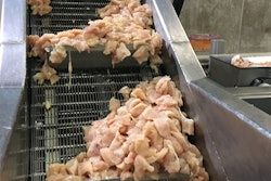 Cambridge Metal Modular Conveyor Belt