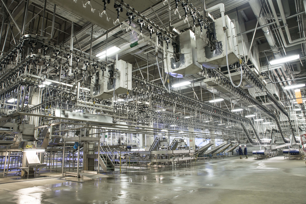 Sanderson Farms expands market reach with greenfield