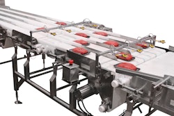 Pfw 4602 Sanitary Conveyor With Meat
