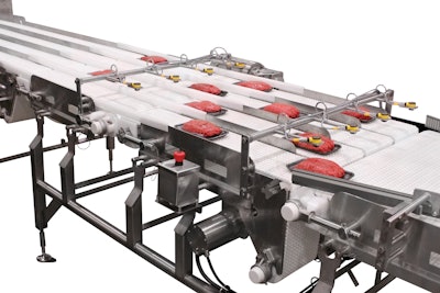Pfw 4602 Sanitary Conveyor With Meat
