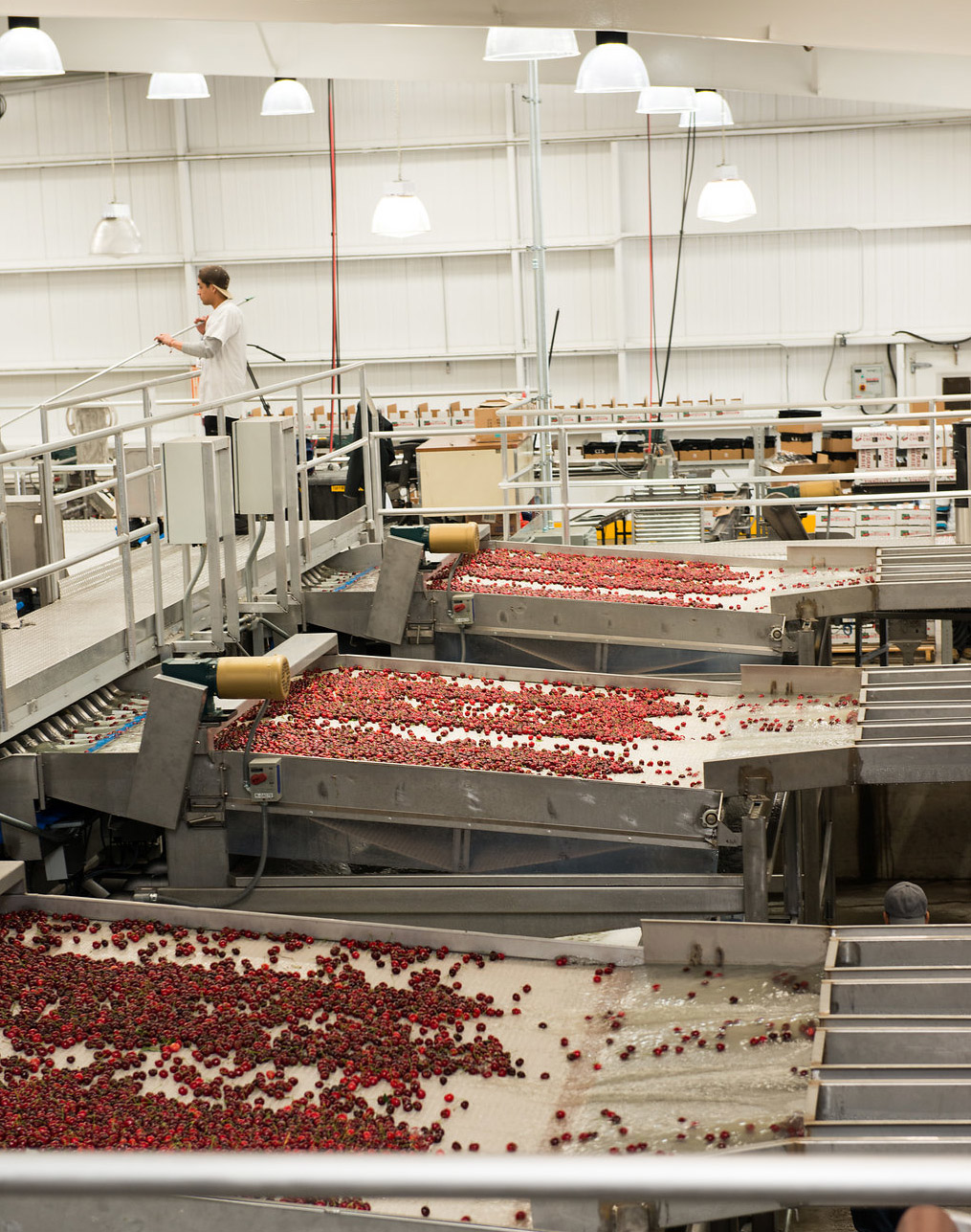 Pfw 4769 Cherry Plant Floor