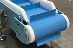 DynaClean Embedded Diamond Belt