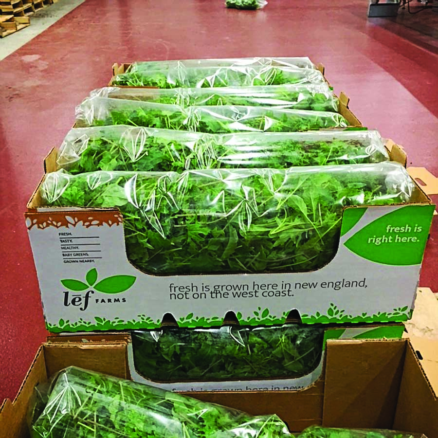 L&emacr;f Farms, a producer of bagged salad greens, installed flooring from Sika Corporation in its greenhouse because it complies with food safety regulations requiring smooth, durable and easily cleanable floors.