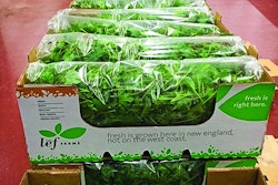 Lēf Farms, a producer of bagged salad greens, installed flooring from Sika Corporation in its greenhouse because it complies with food safety regulations requiring smooth, durable and easily cleanable floors.