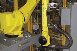 Near the end of the line, one robot forms pallet layers by using its compression gripper to move pairs of packs around on the conveyor.