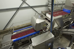 Emblème Canneberge runs frozen cranberries through an integrated sizing and sorting line anchored by the VERYX C140 digital sorter, which removes foreign materials and defects from the product stream. Photo courtesy of Key Technology.