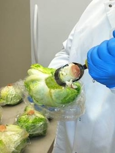 The University of Arizona created a food safety program that will offer a bachelor’s degree in food safety. The program will begin in the fall of 2018. Photo courtesy of the University of Arizona.