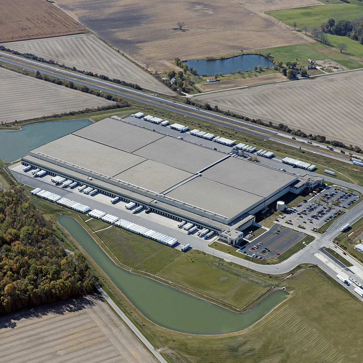 Pfw 7956 Iwifranklin