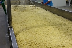 Cheese curd is drained of excess whey and pushed to one end, ready to be vacuumed and pressed into the new block forming towers. Photo courtesy of SAGE Automation.