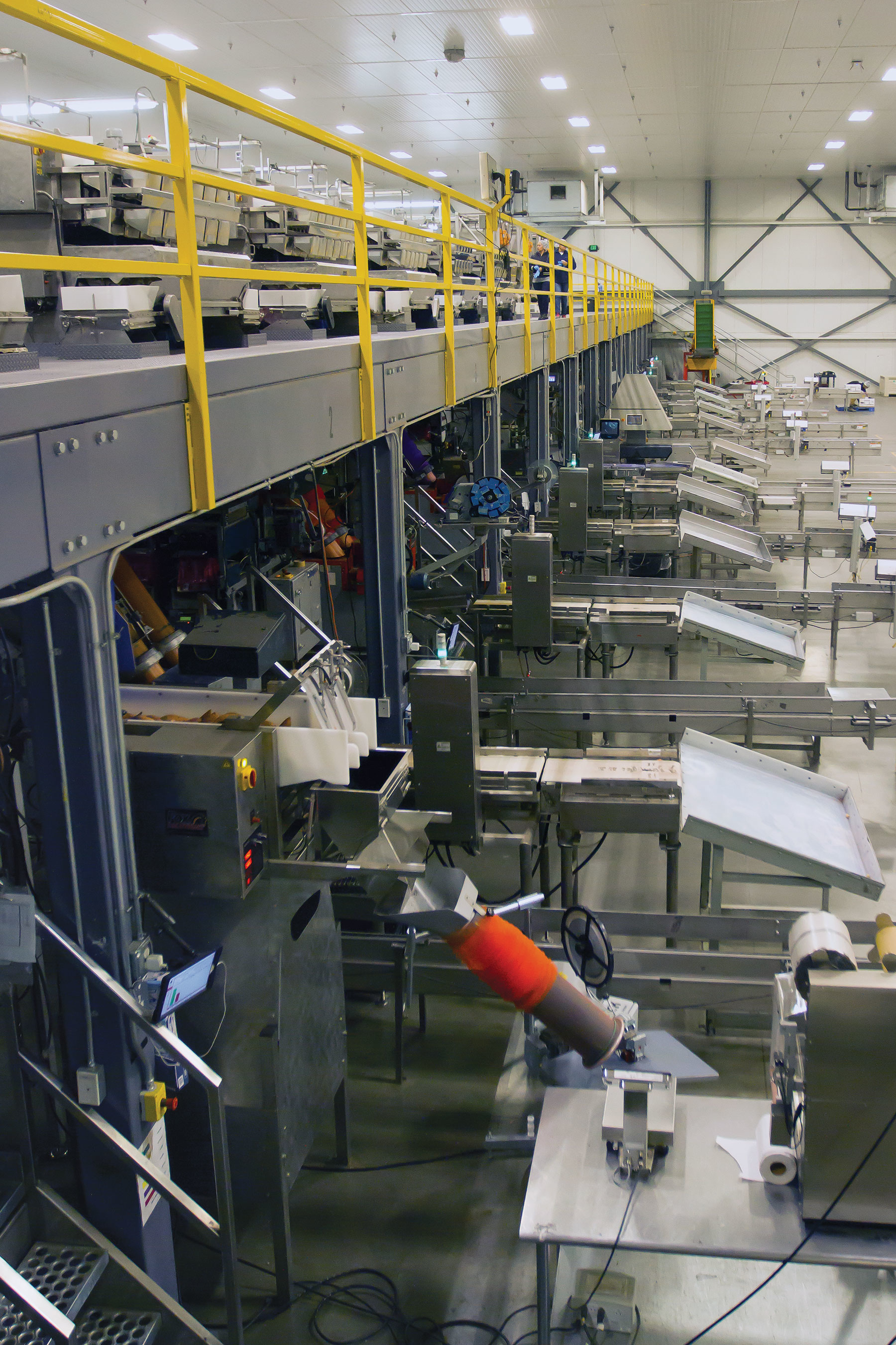 Combination scales on the mezzanine level drop potatoes into one of the 13 baggers, depending on the potato&rsquo;s intended size and packaging format. (Photo by Lindsey Tulloch-Tasteful Selections)