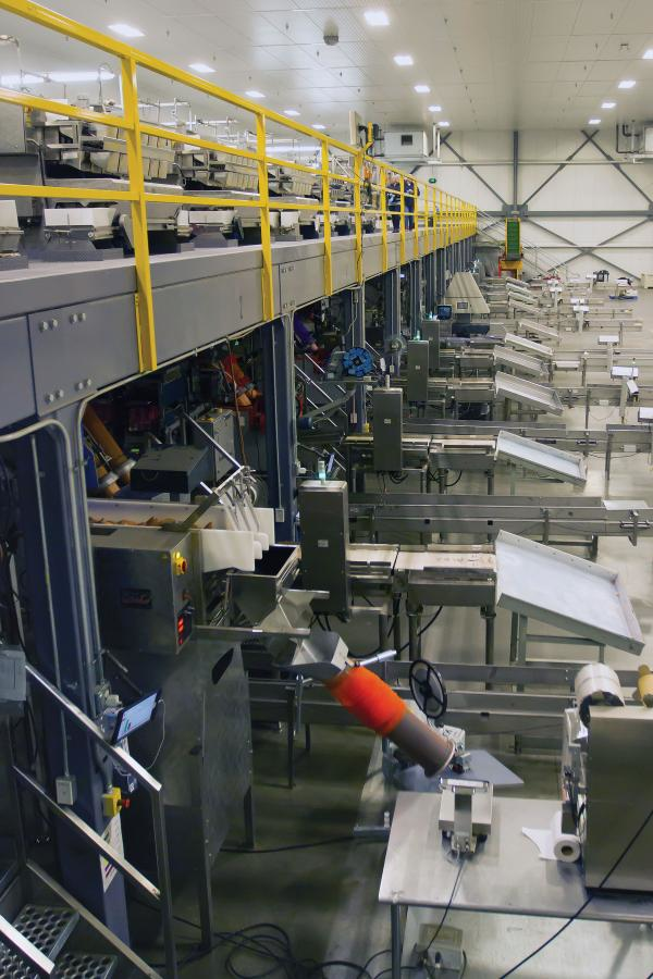 Combination scales on the mezzanine level drop potatoes into one of the 13 baggers, depending on the potato&rsquo;s intended size and packaging format. Photo courtesy of Lindsey Tulloch and Tasteful Selections.