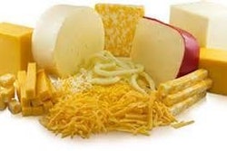 WCMA cheese