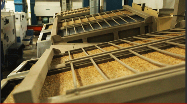 The milling process features multiple pieces of equipment located on three stories to clean the rice kernels for packaging.