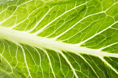 On Nov. 20, 2018 CDC advises that U.S. consumers should not eat any romaine lettuce