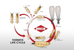 When it comes to types of termites, all areas of the U.S. are prone to subterranean termites