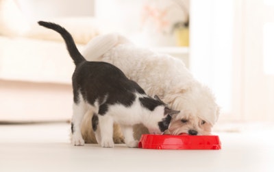 Pet Food Fastest Growing Segment of the Flexible Packaging Market