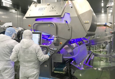 Key VERYX belt-fed digital sorter for fresh-cut leafy greens
