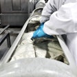 Product is loaded into vessels for high pressure processing (HPP).