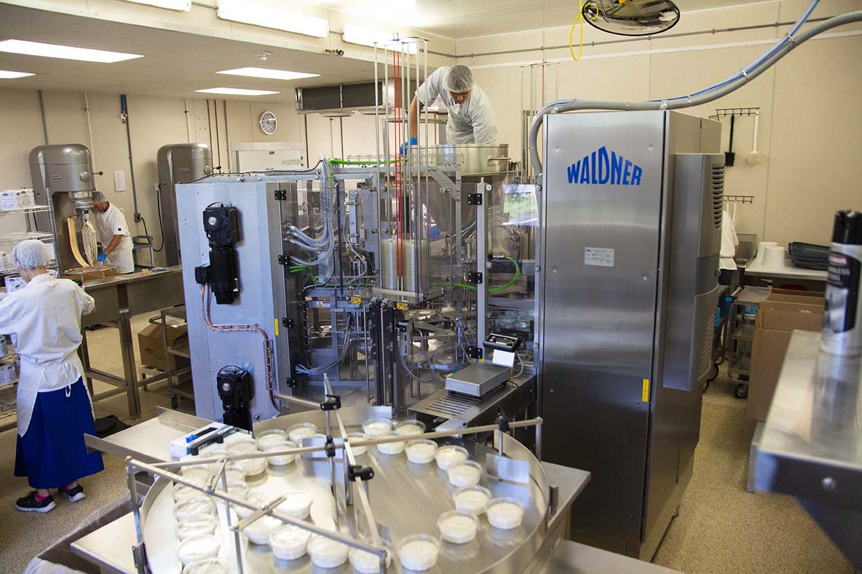 J&L Foods Specialties uses the rotary DOSOMAT Cup System to package its cream cheese spreads in 8-oz retail cups. The machine fills, seals and caps about 75 cups per minute. Photo courtesy of PTI - Packaging Technologies & Inspection.