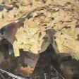 Pw 211762 Thumbnail 2 Df3c5110 V1