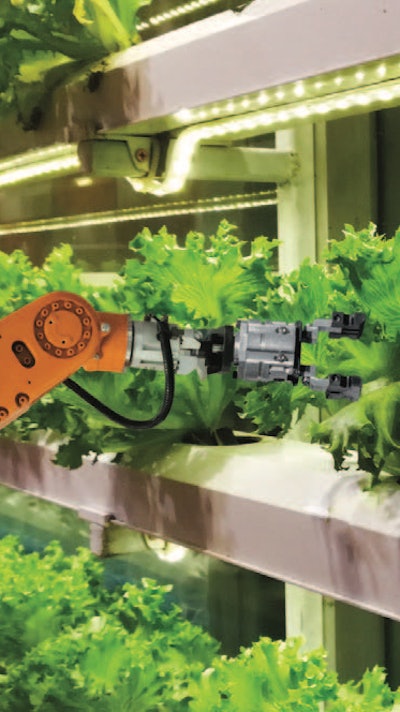 Vertical Farming