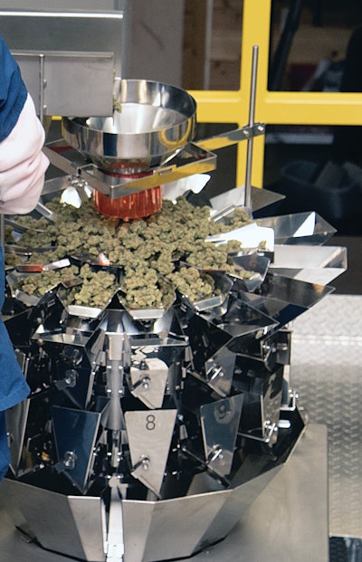 The multi-head Ishida weigher accurately weighs buds before dropping them to the pouch filler.
