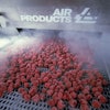 raspberries in cryogenic tunnel freezer