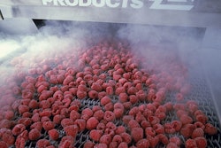 raspberries in cryogenic tunnel freezer