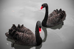 Getty Images 124460253