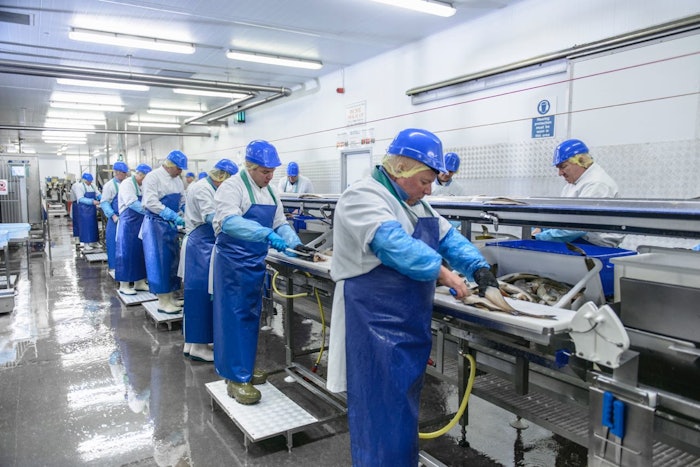 Getty Images Fish Factory (1)