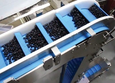 Multi Conveyor Vertical Scoop Flight Elevator