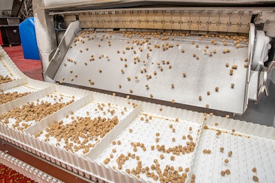 Rhino Foods’ frozen chocolate-chip cookie dough pellets—shown tumbling from a Messer Wave Freezer, ready for packing—add texture and flavor to ice creams.