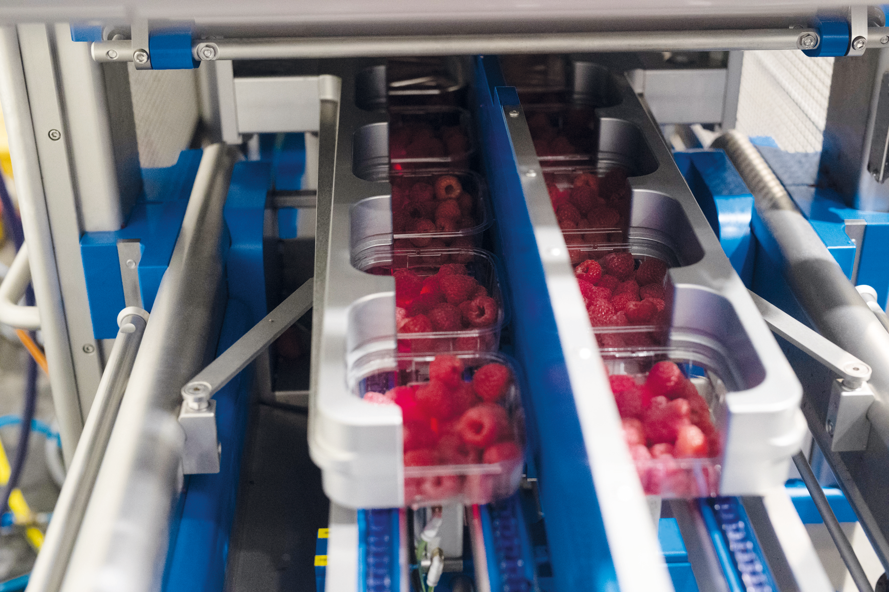 The double-lane tray sealer provides flexibility for medium-sized outputs, yet it&rsquo;s capable of reliably sealing up to 140 trays/min.