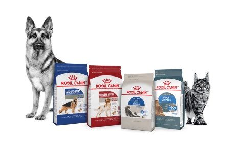 Royal top canin mars