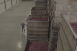 With about 80 cranberry bogs, Canneberges Bécancour processes about a half million pounds of cranberries per day during a typical harvest.
