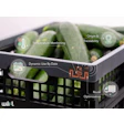 From the Wiliot Cloud, information can be accessed and analyzed by brands, manufacturers, distributors, and retailers to make more informed decisions along the supply chain.