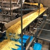 Key Technology’s Zephyr horizontal-motion conveyor minimizes bounce to reduce product damage, noise, and loss of seasoning.