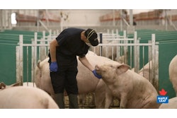 Maple Leaf Foods Inc Business Benchmark On Farm Animal Welfare