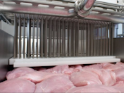 For poultry brine injections, GEA recommends 2 mm injection needles with its MultiJector system for better brine distribution that does not destroy the structure of the meat.