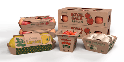 WestRock’s EverGrow Fiber-Based Produce Packaging Collection auto-erect carriers are used by Niagara and TitanFarms for plums, pears, nectarines, peaches, and grapes.