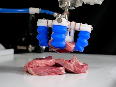 Soft Robotics’ mGripAI software incorporates proprietary 3D vision, AI, and soft-grasping technology to pick, place, and sort delicate, variable, and bulk food products.