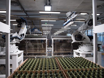 The automated depalletizing solution features two Comau NJ-40 six-axis articulated robots.